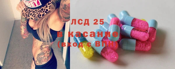 стаф Елабуга