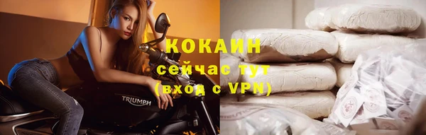 спиды Елизово