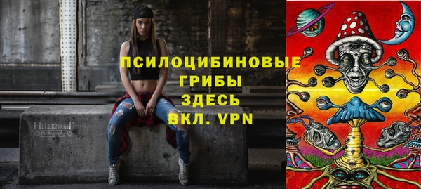 гашик Заволжье