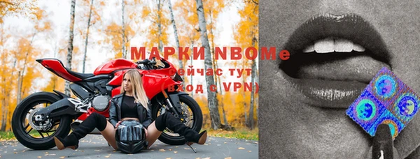 стаф Елабуга
