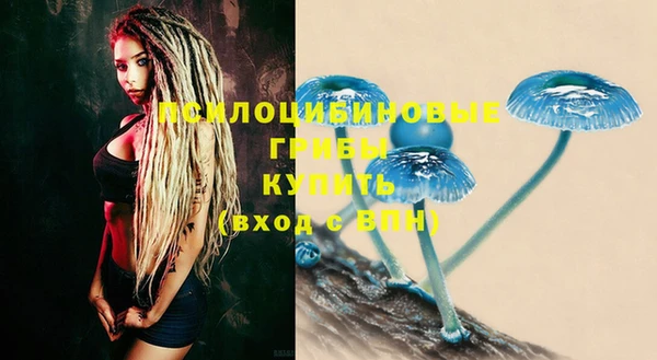 кокаин премиум Ельня