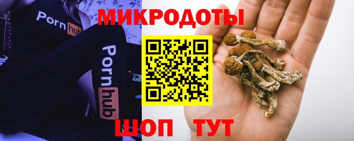 Галлюциногенные грибы прущие грибы Норильск