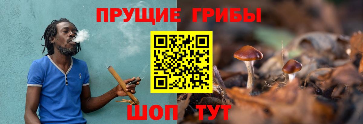 Норильск  Галлюциногенные грибы MAGIC MUSHROOMS  Вход с VPN 