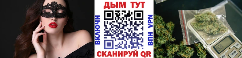 Бошки марихуана семена  купить наркоту  Норильск 